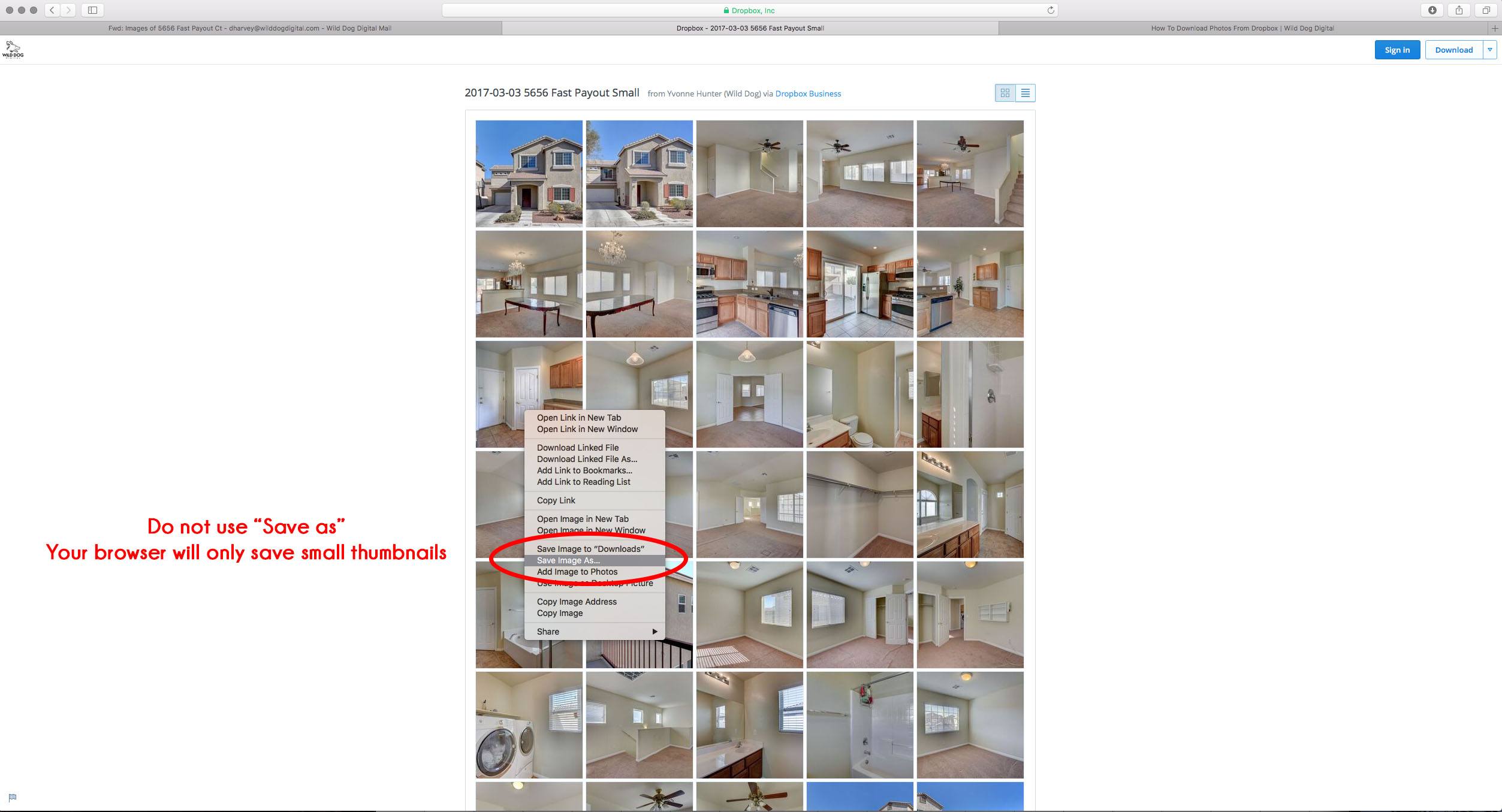 How to Download Photos from Dropbox (on Mac OS) | Wild Dog Digital